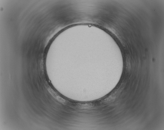 X0000060801460200512082138