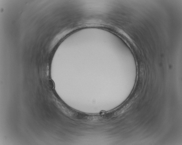 X0000060801461200512082138