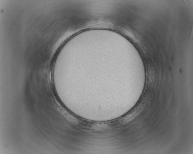 X0000060801462200512082138