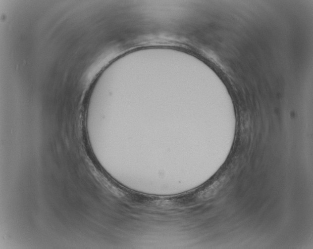 X0000060801463200512082138