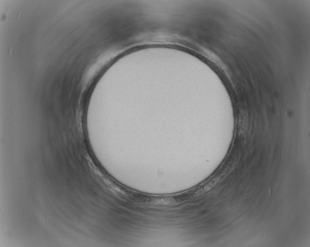 X0000060801464200512082138