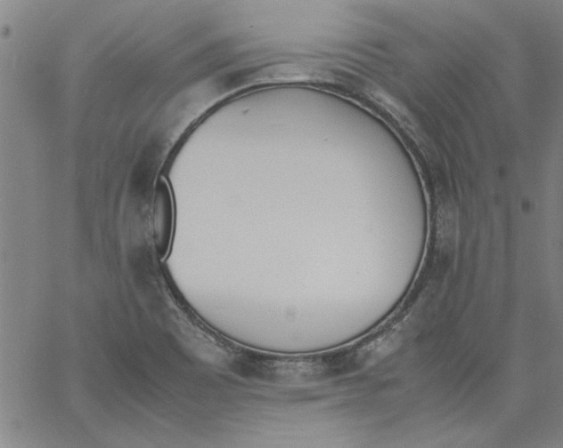 X0000060801465200512082137