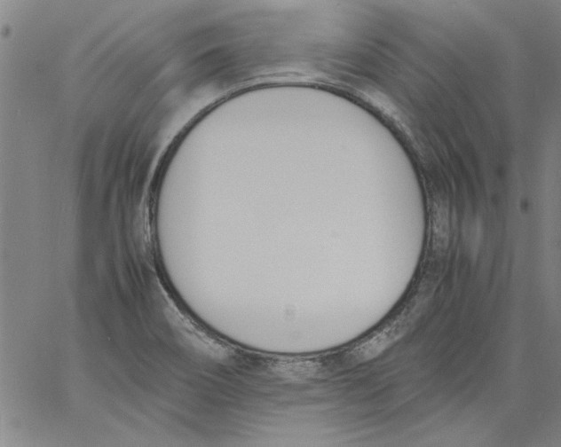 X0000060801466200512082137