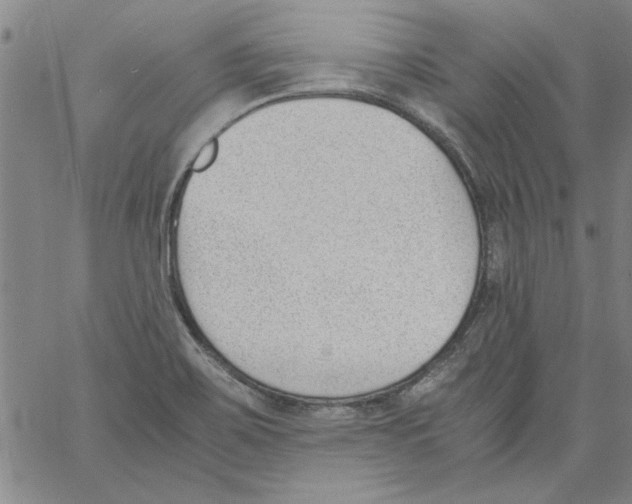 X0000060801467200512082137