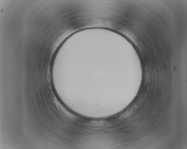 X0000060801468200512082137