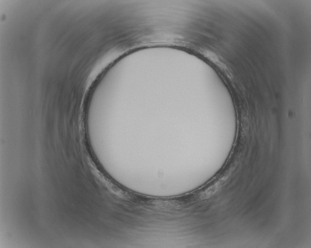 X0000060801469200512082137