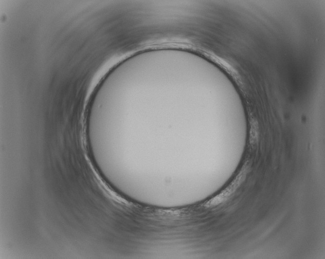 X0000060801470200512082137