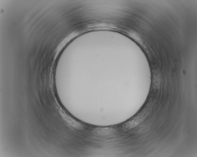 X0000060801474200512082137