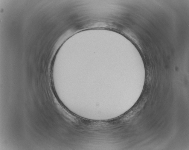 X0000060801475200512082137