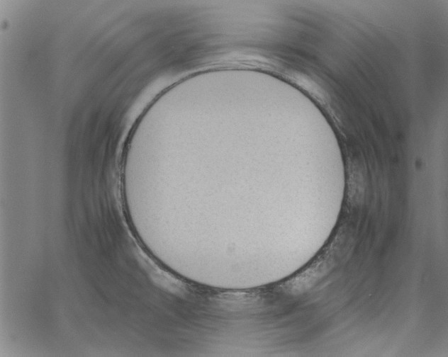 X0000060801478200512082137