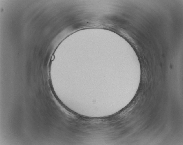 X0000060801479200512082137