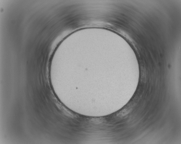 X0000060801480200512082137