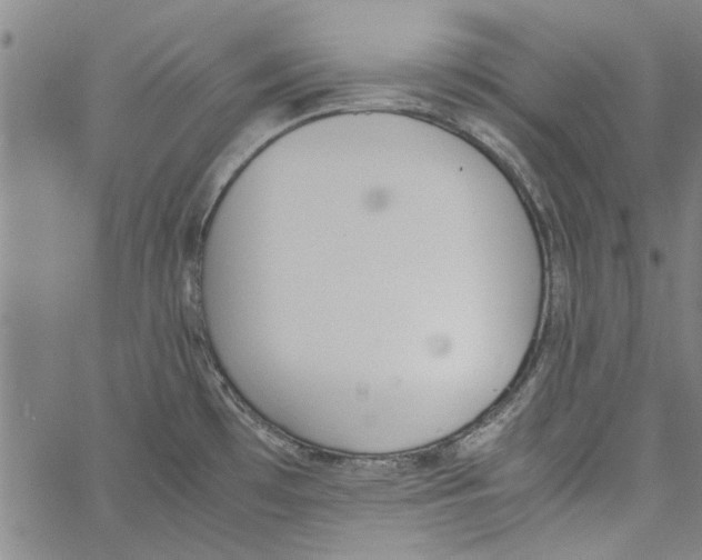 X0000060801481200512082137