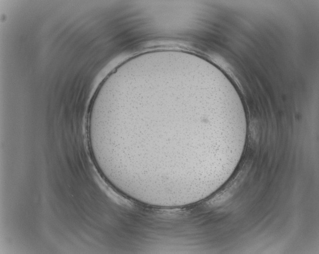 X0000060801482200512082137