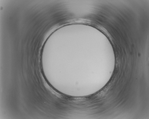 X0000060801483200512082137