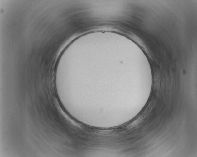 X0000060801484200512082137