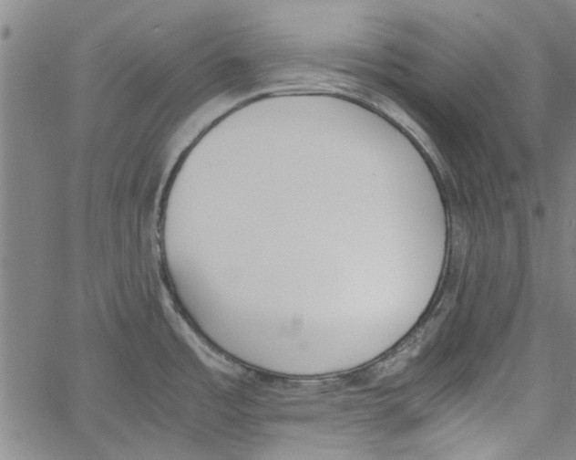 X0000060801485200512082137