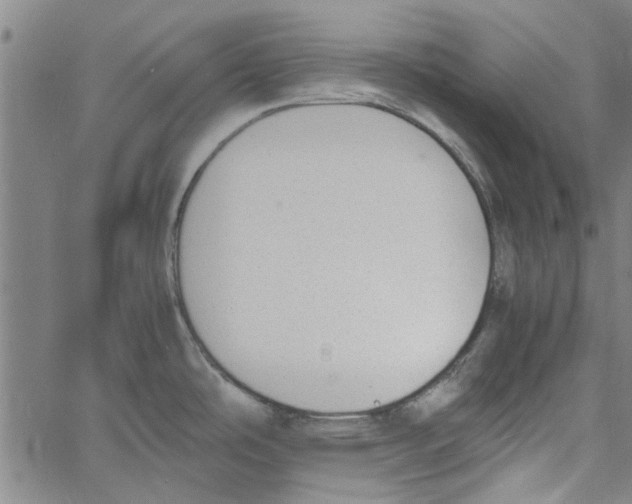 X0000060801486200512082137