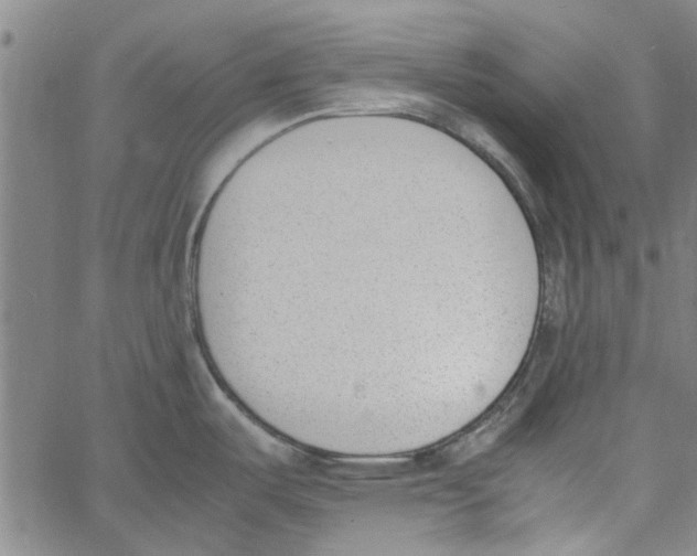 X0000060801487200512082137