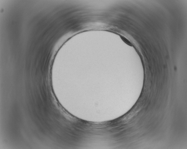 X0000060801488200512082137