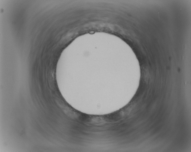 X0000060801489200512082136