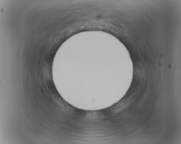 X0000060801490200512082136