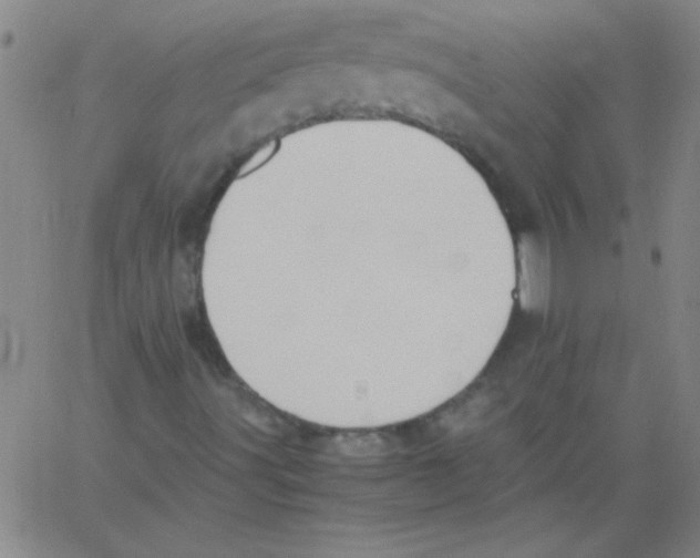 X0000060801491200512082136