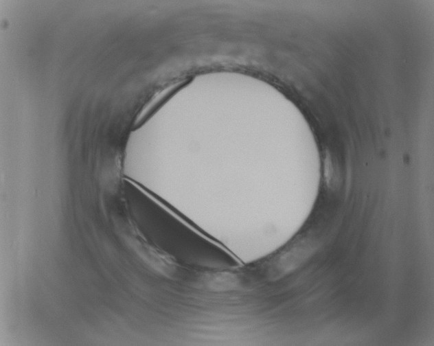 X0000060801492200512082136