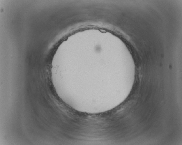 X0000060801496200512082136