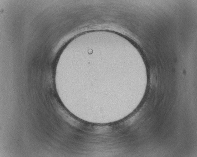 X0000060801498200512082136