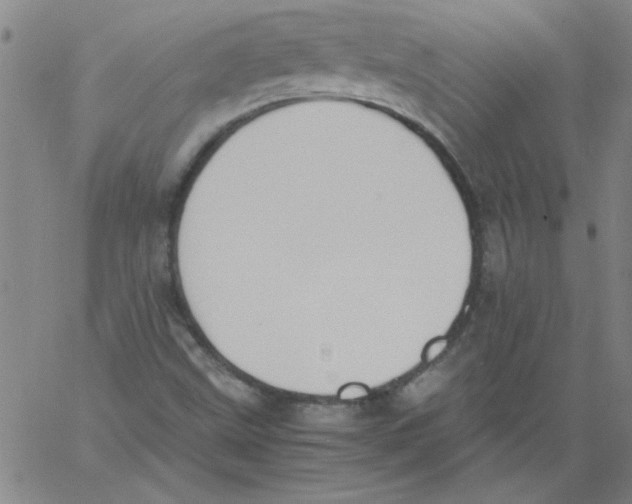 X0000060801499200512082136