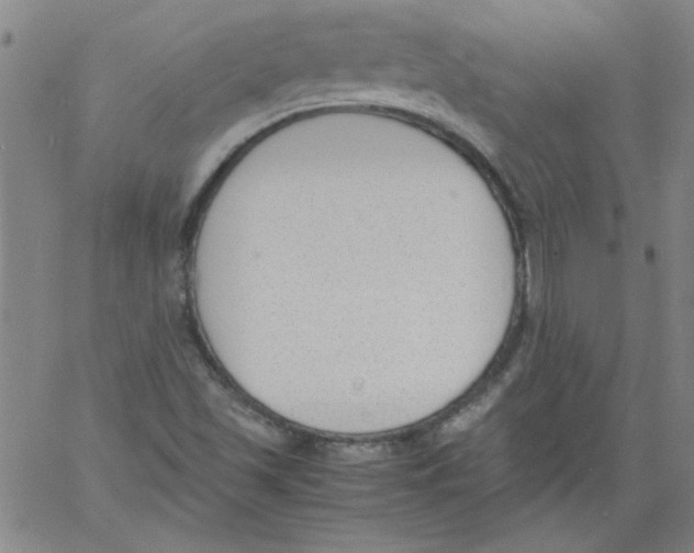 X0000060801501200512082137