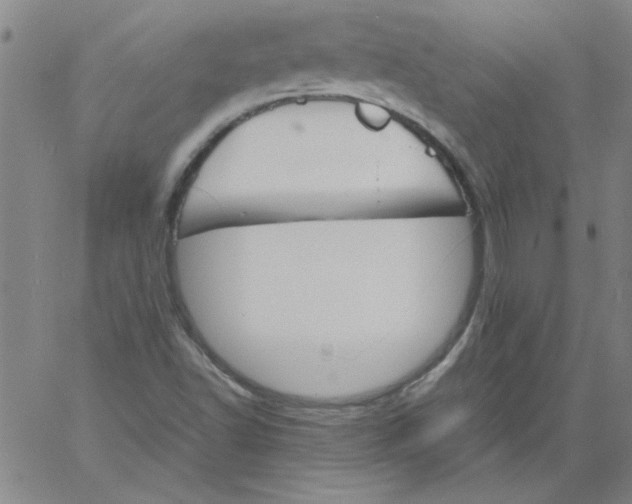 X0000060801502200512082137