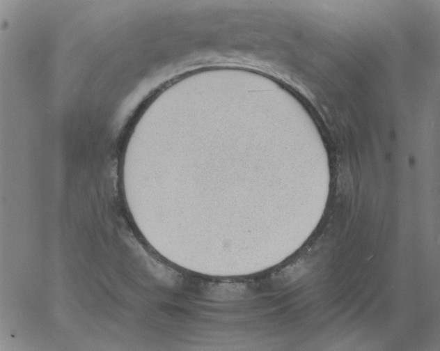 X0000060801503200512082137