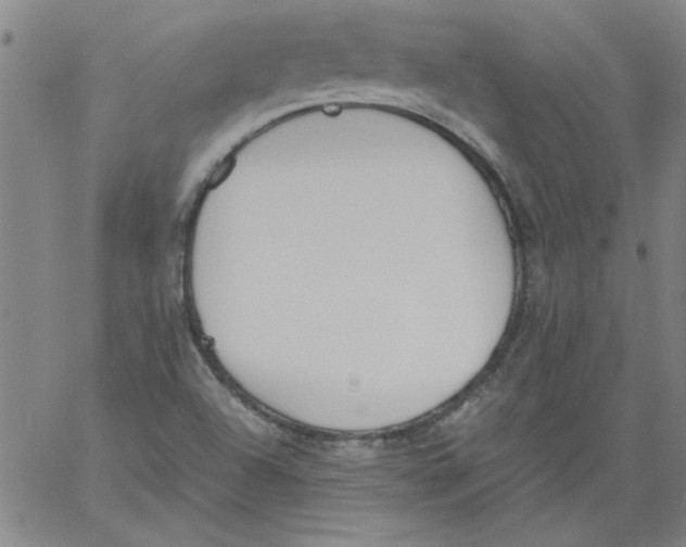 X0000060801504200512082137