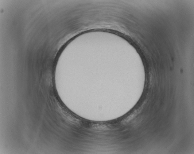 X0000060801505200512082137