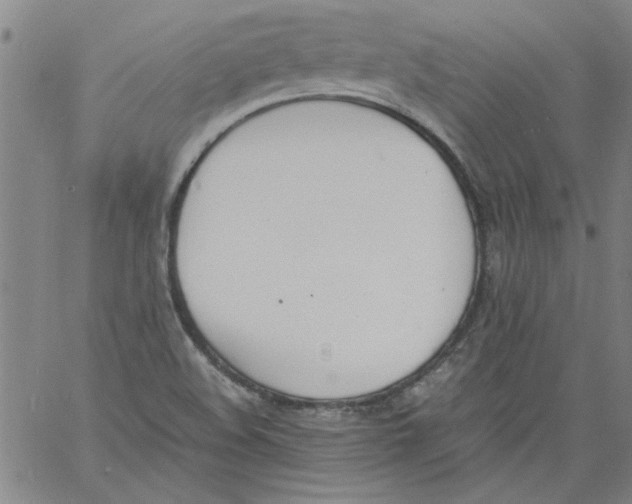 X0000060801508200512082137