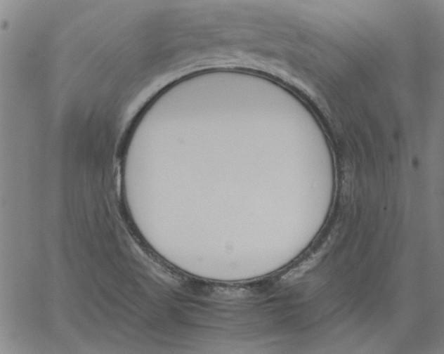 X0000060801509200512082137