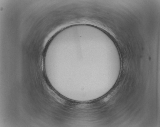 X0000060801510200512082137