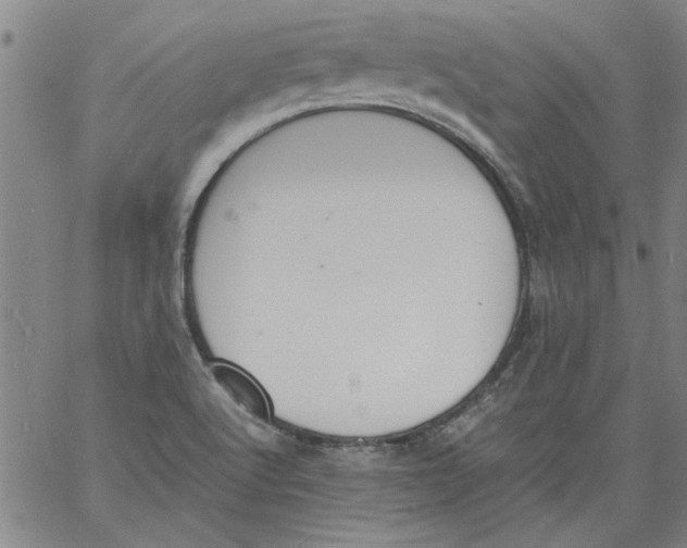 X0000060801512200512082137