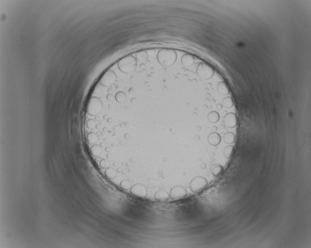 X0000060801514200512082137