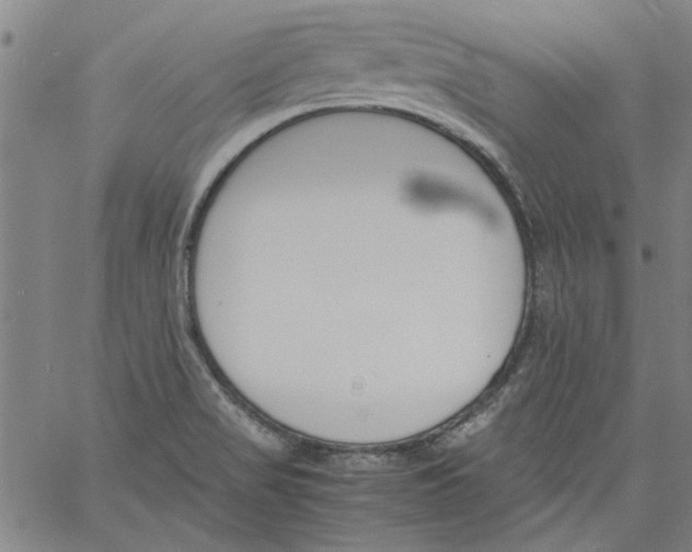 X0000060801517200512082137