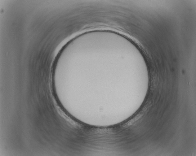 X0000060801518200512082137