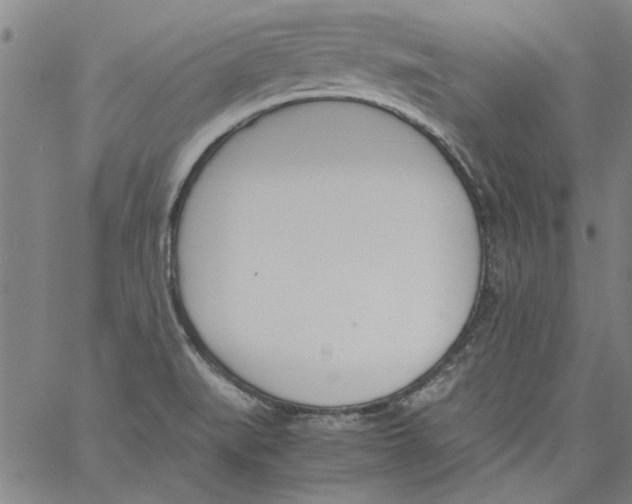 X0000060801519200512082137