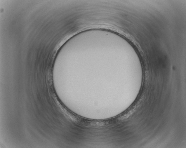 X0000060801521200512082137