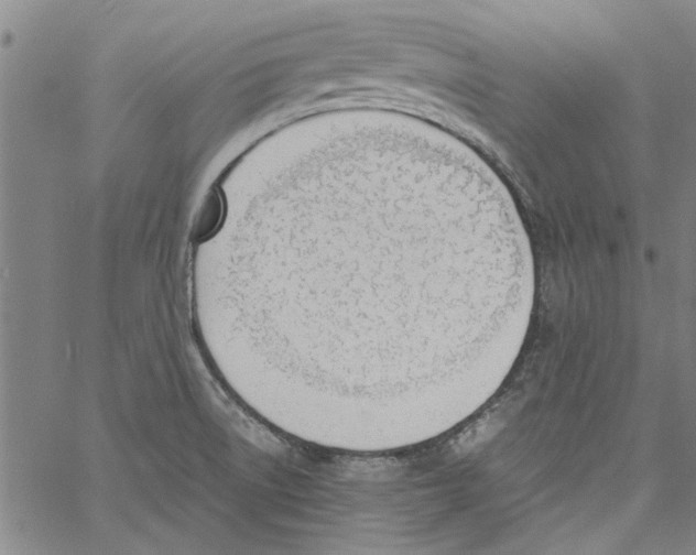 X0000060801522200512082137