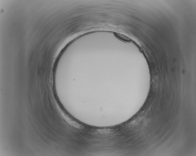 X0000060801523200512082137