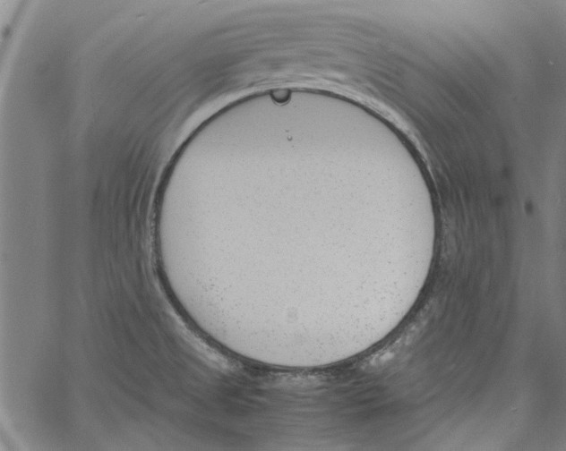 X0000060801525200512082137