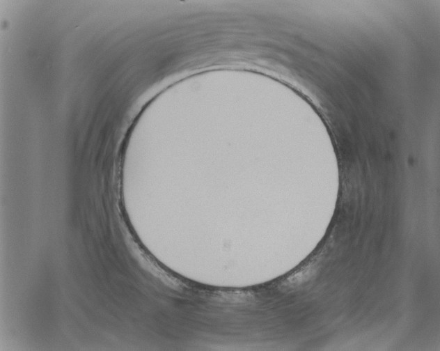 X0000060801526200512082137