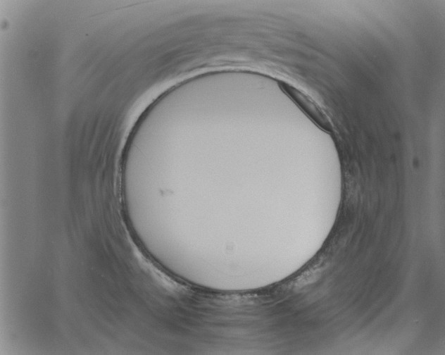 X0000060801527200512082137